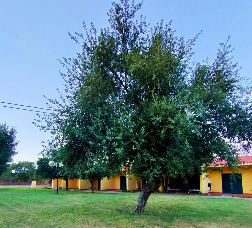Nuraghe Ruiu Camping & Bungalow Norbello Exterior foto